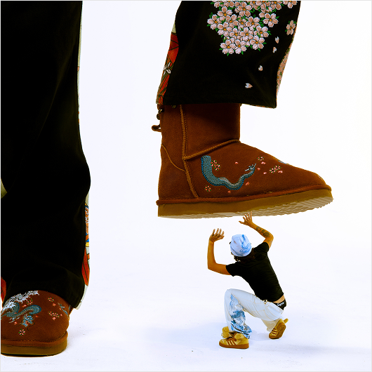 Blue Dragon Winter Shoes
